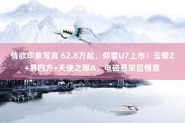 情欲印象写真 62.8万起，仰望U7上市！云辇Z+易四方+天使之眼A，电磁悬架巨惬意