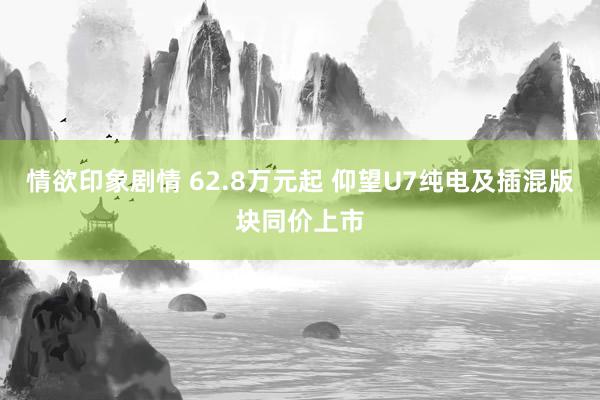 情欲印象剧情 62.8万元起 仰望U7纯电及插混版块同价上市
