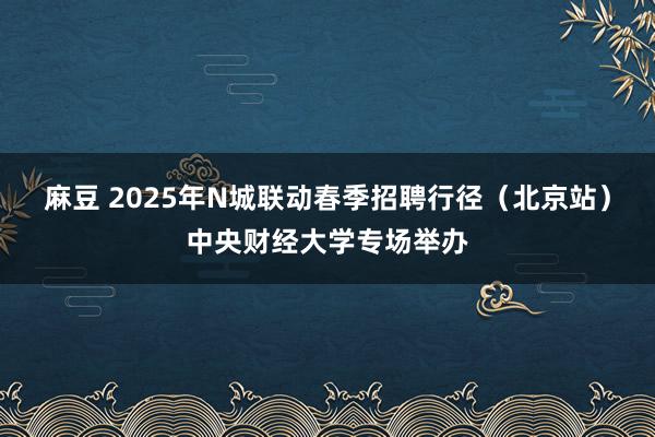 麻豆 2025年N城联动春季招聘行径（北京站）中央财经大学专场举办