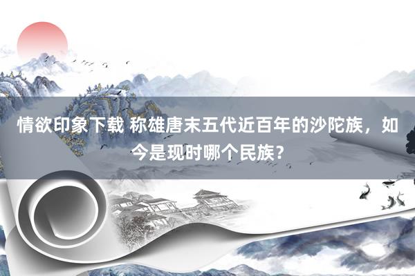 情欲印象下载 称雄唐末五代近百年的沙陀族，如今是现时哪个民族？