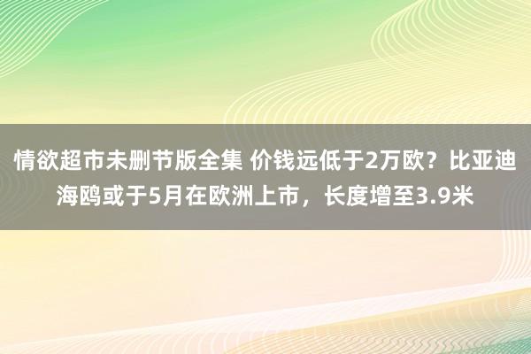 情欲超市未删节版全集 价钱远低于2万欧？比亚迪海鸥或于5月在欧洲上市，长度增至3.9米