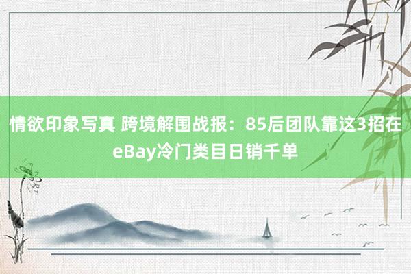 情欲印象写真 跨境解围战报：85后团队靠这3招在eBay冷门类目日销千单