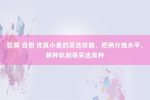 巨屌 自慰 优良小麦的采选依据，把柄分娩水平、耕种轨制等采选良种