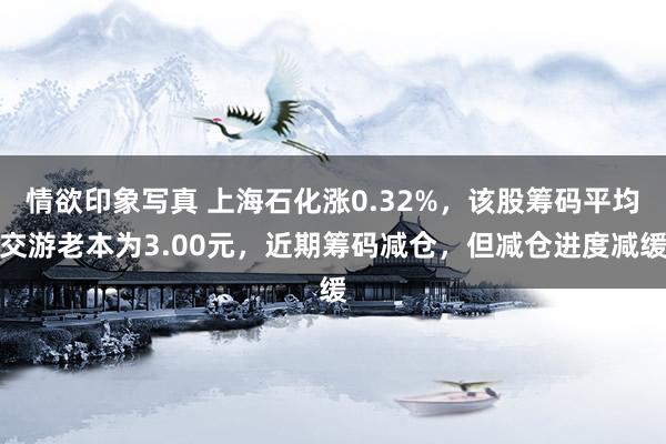情欲印象写真 上海石化涨0.32%，该股筹码平均交游老本为3.00元，近期筹码减仓，但减仓进度减缓
