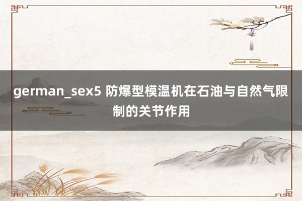 german_sex5 防爆型模温机在石油与自然气限制的关节作用