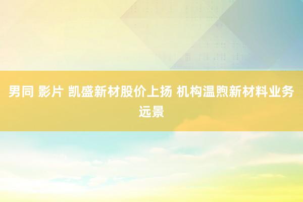 男同 影片 凯盛新材股价上扬 机构温煦新材料业务远景