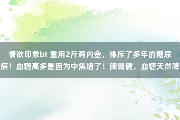 情欲印象bt 重用2斤鸡内金，排斥了多年的糖尿病！血糖高多是因为中焦堵了！脾胃健，血糖天然降