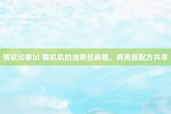 情欲印象bt 糯叽叽的油条包麻糍，商用版配方共享
