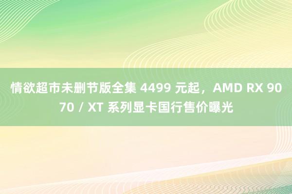 情欲超市未删节版全集 4499 元起，AMD RX 9070 / XT 系列显卡国行售价曝光