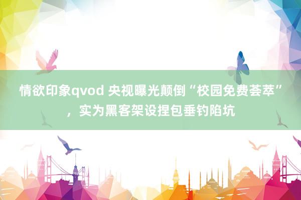 情欲印象qvod 央视曝光颠倒“校园免费荟萃”，实为黑客架设捏包垂钓陷坑